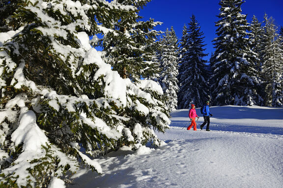 Winterwanderungen in Reit im Winkl - Sonnhof's Ferienresidenz