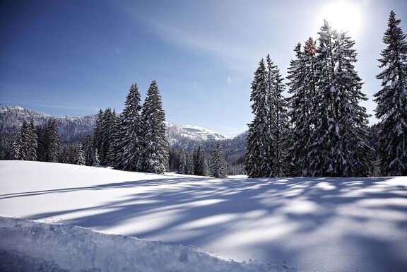 Winterurlaub in Reit im Winkl - Sonnhof's Ferienresidenz